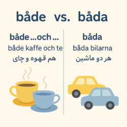 A clear and simple educational infographic highlighting the difference between 'både' and 'båda' in Swedish.