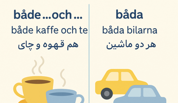 A clear and simple educational infographic highlighting the difference between 'både' and 'båda' in Swedish.