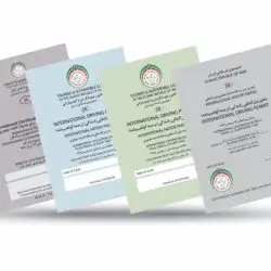 A high-quality, professional photo of an Iranian International Driving Permit (IDP)
